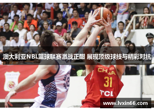 澳大利亚NBL篮球联赛激战正酣 展现顶级球技与精彩对抗